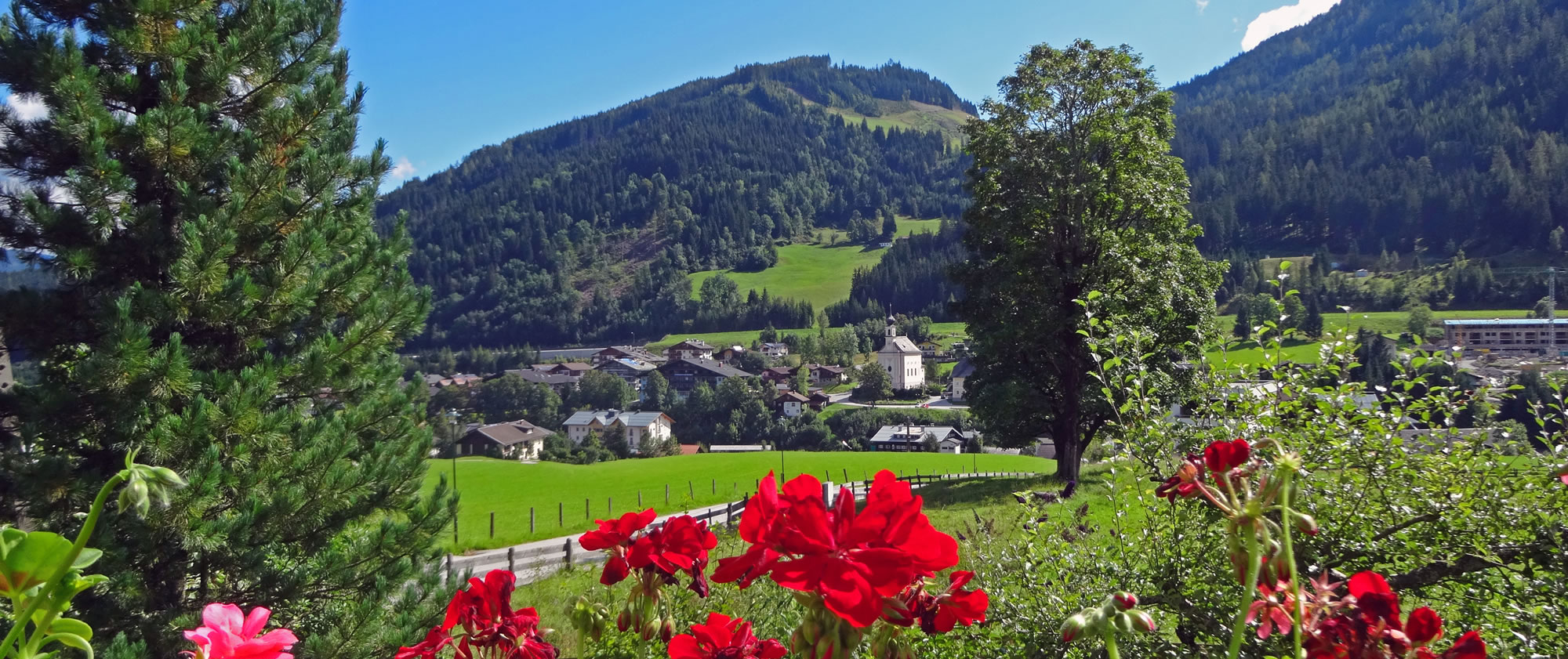 Ausblick von Apartment Geistlinger auf Flachau im Sommer