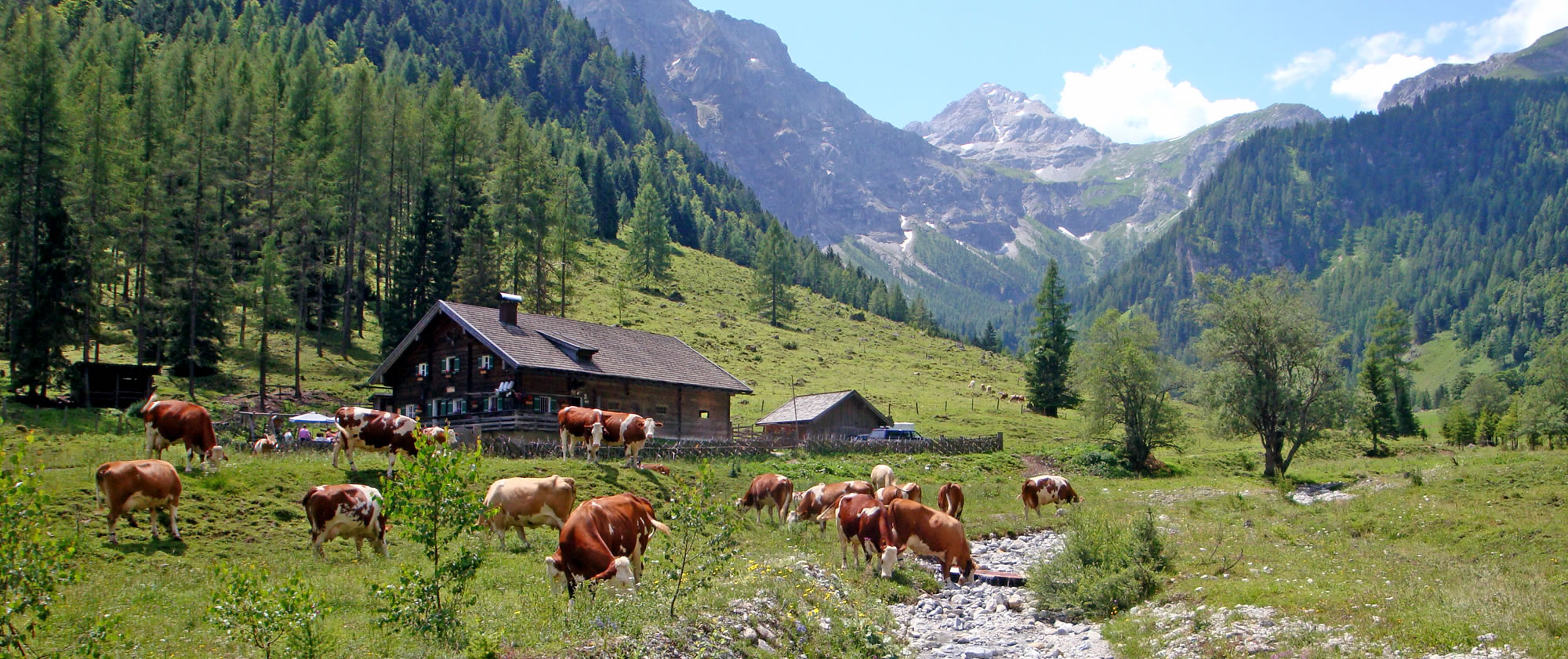 Almgebiet Marbach in Flachau, Salzburger Land