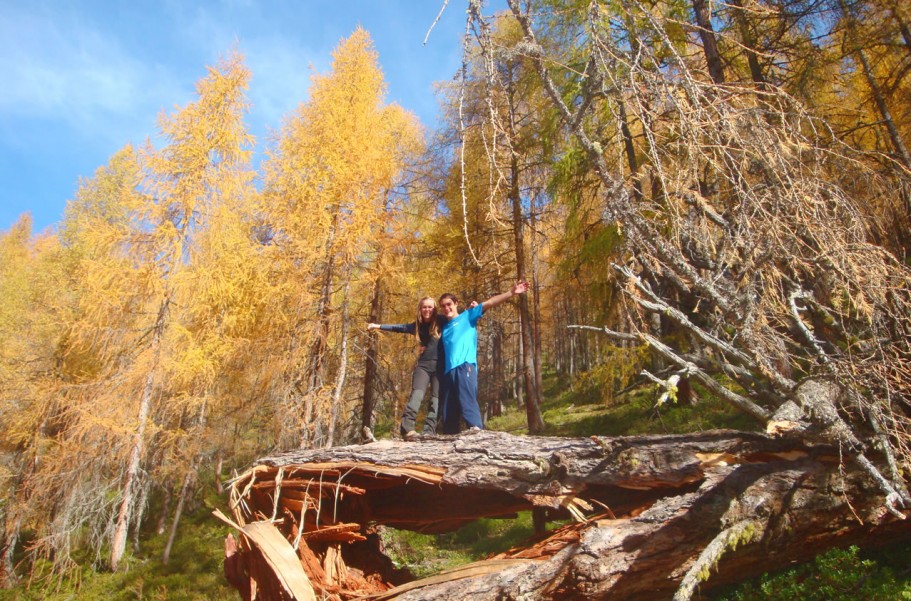 Herbstwanderung