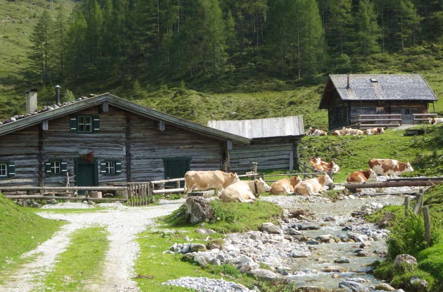 Almlandschaft in Flachau