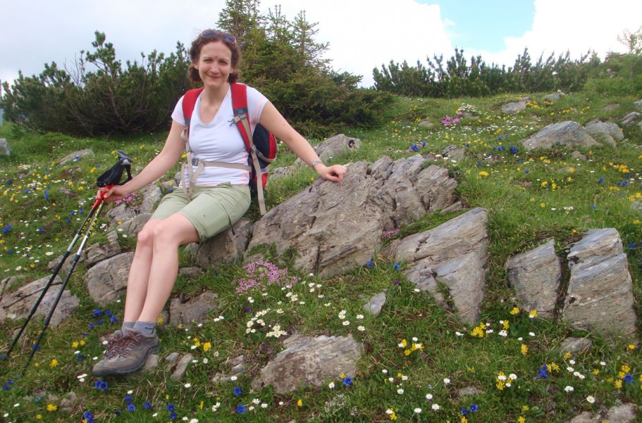 Bunte Blumenwiese beim Wandern