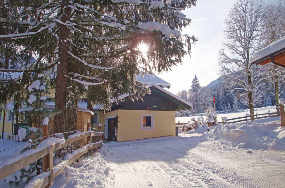 Ski in-Ski out: direkter Weg von Apartments Geistlinger zu den Skipisten vom Skigebiet Flachau